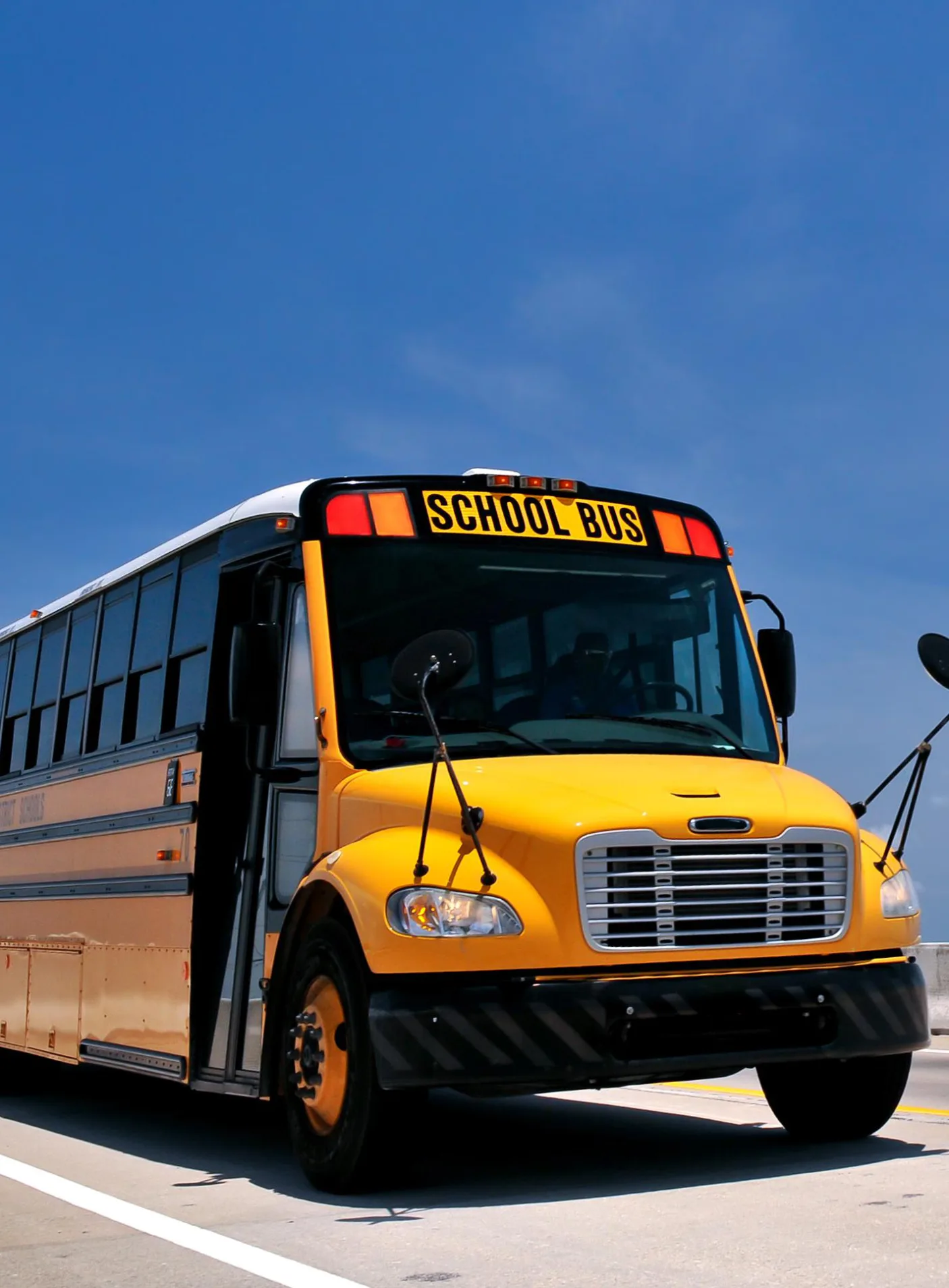 School Bus — real coverage of the vehicle fleet.